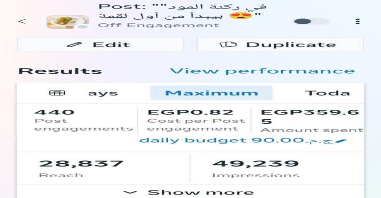 I will manage your paid ads and help grow your business with strategic media buying